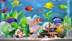 AquaScape screenshot